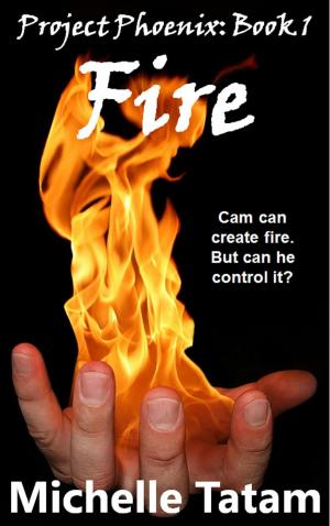 Cover of the book Fire by Michelle Tatam