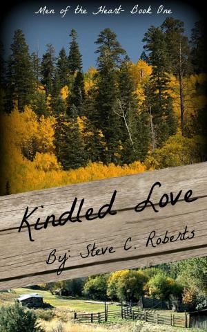 Book cover of Kindled Love
