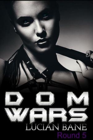 Book cover of Dom Wars Round 5