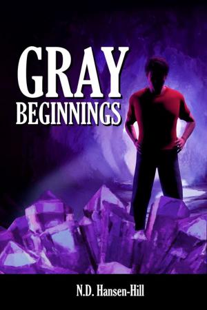 Cover of the book Gray Beginnings by Biff Mitchell