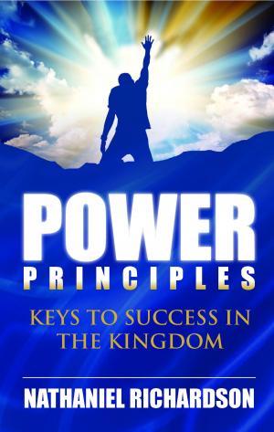 Cover of the book Power Principles by Bonita Williams