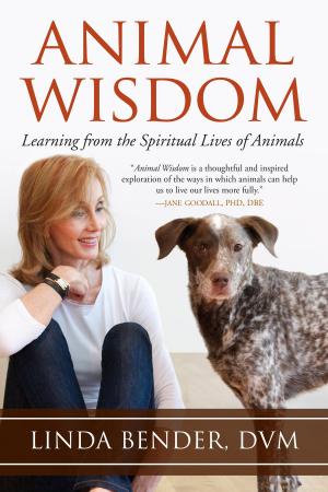 Cover of the book Animal Wisdom by Richard Grossinger