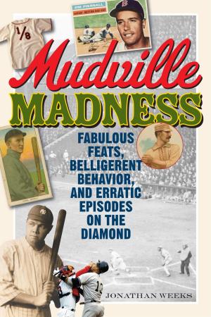 Cover of the book Mudville Madness by R. G. Schmidt