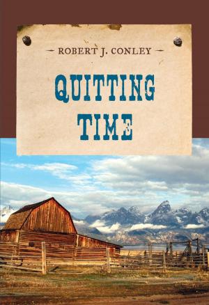 Book cover of Quitting Time
