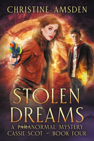 Cover of the book Stolen Dreams by Christine Amsden
