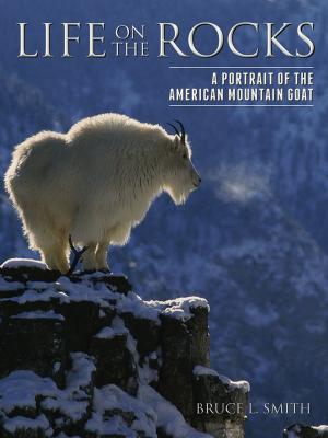 Cover of the book Life on the Rocks by David R. Berman