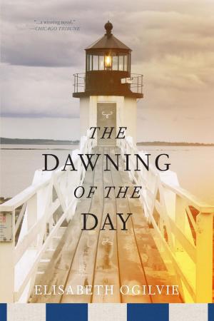 bigCover of the book The Dawning of the Day by 