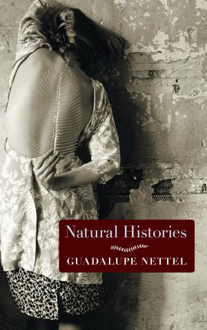Cover of the book Natural Histories by Cory Silverberg