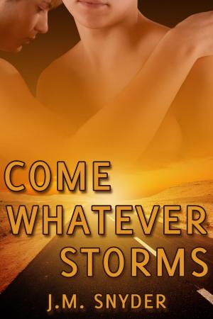 Cover of the book Come Whatever Storms by J.T. Marie