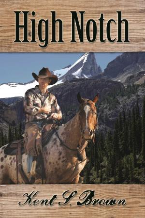 Cover of the book High Notch by Bennett Cole