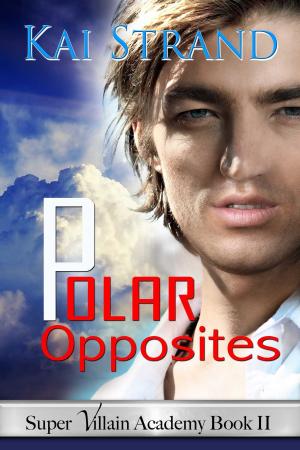 Cover of the book Polar Opposites by Stephen Wytrysowski