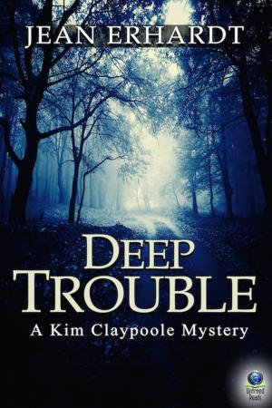 Book cover of Deep Trouble