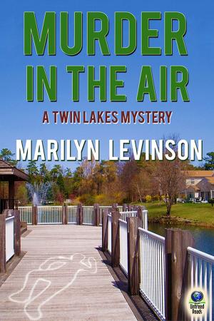 Cover of the book Murder in the Air by Pat Murphy