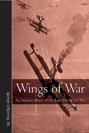Cover of the book Wings of War by James Huffstodt