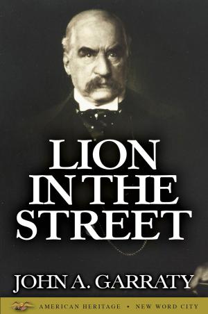 Cover of the book Lion in the Street by Nick Morgan