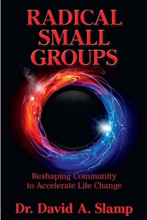 Cover of the book Radical Small Groups by Todd Stottlemyre