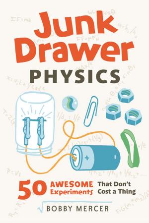 Cover of the book Junk Drawer Physics by Cory Franklin, MD