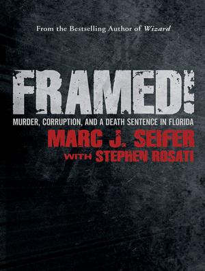 Book cover of Framed!