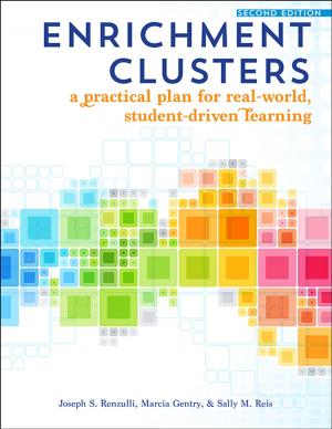 Cover of the book Enrichment Clusters by Denise Swanson