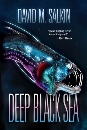 Book cover of Deep Black Sea
