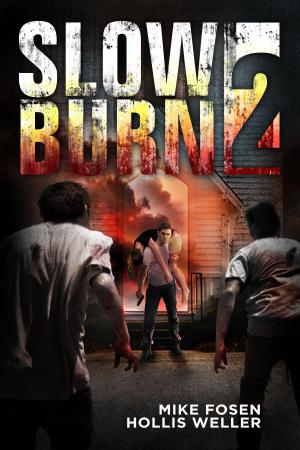 Cover of Slow Burn 2