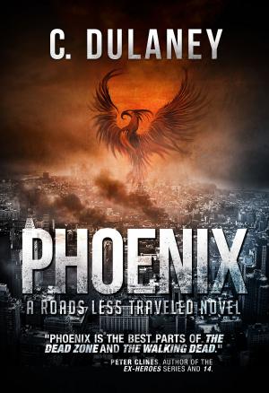 Cover of the book Phoenix by James Stoddard