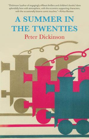 Book cover of A Summer in the Twenties