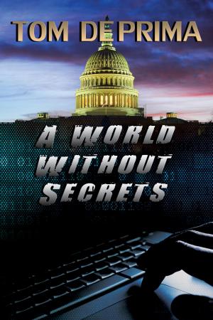 Cover of the book A World Without Secrets by Judith Blevins, Carroll Multz