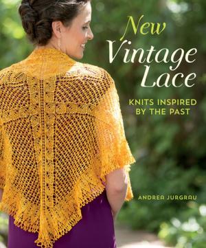 Cover of the book New Vintage Lace by Lisa Lewis