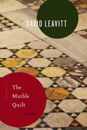 Cover of the book The Marble Quilt by Tallulah Brown