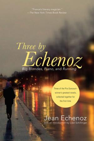 Cover of the book Three By Echenoz by Kyle Ward