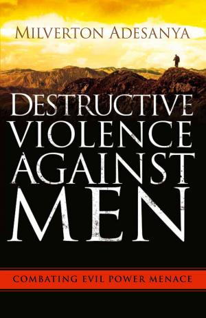 Cover of the book Destructive Violence Against Men by Jacqueline Ritz
