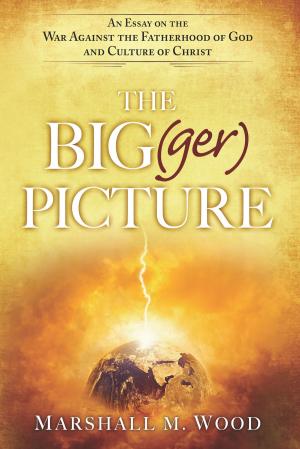 Cover of the book The Big(ger) Picture by R.T. Kendall
