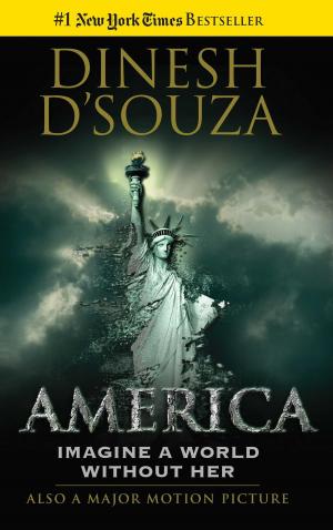 Cover of the book America by James Delingpole