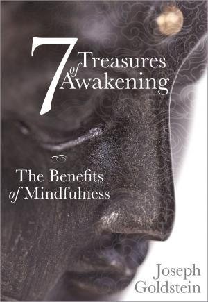 Cover of the book 7 Treasures of Awakening by Pema Chödrön