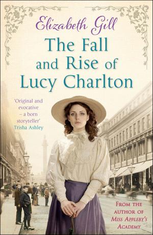 Cover of the book The Fall and Rise of Lucy Charlton by Joseph Suste