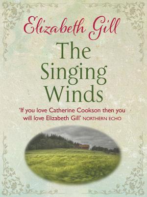 Book cover of The Singing Winds