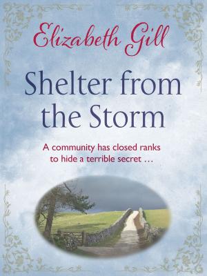 Cover of the book Shelter from the Storm by Jan Dalley