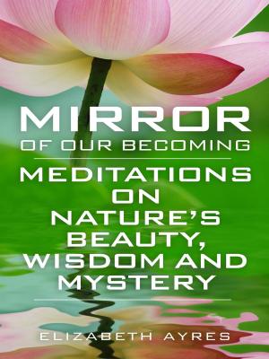 Cover of the book Mirror of Our Becoming by Robert E. Staub