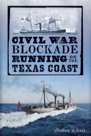 Cover of the book Civil War Blockade Running on the Texas Coast by Chris Jefferies Ph.D., 