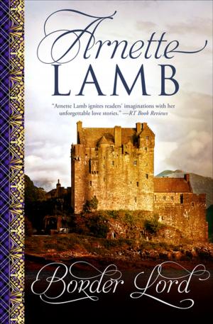 Cover of the book Border Lord by Patricia Bray