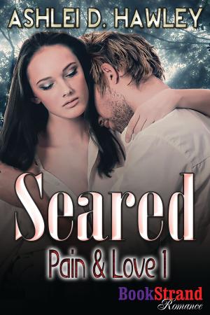 Cover of the book Seared by Heather Rainier