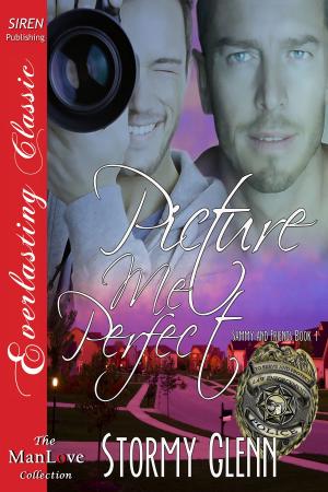 Cover of the book Picture Me Perfect by Marcy Jacks
