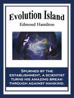 Cover of the book Evolution Island by Wilson Roberts