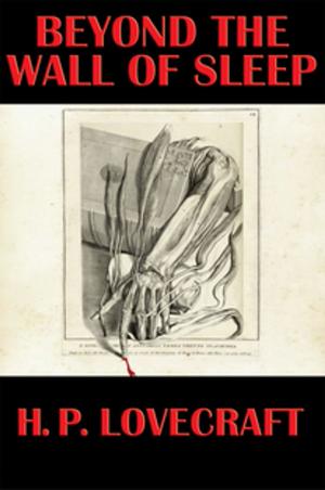 Cover of the book Beyond the Wall of Sleep by William Morrison