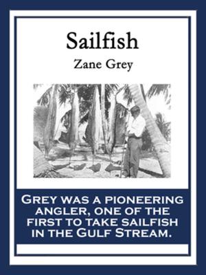 Book cover of Sailfish