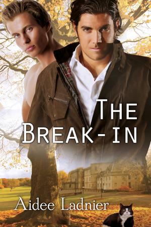Cover of the book The Break-in by Scotty Cade, Z.B. Marshall