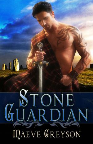 Book cover of Stone Guardian