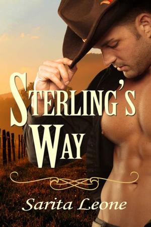 Cover of the book Sterling's Way by Debbie Peterson