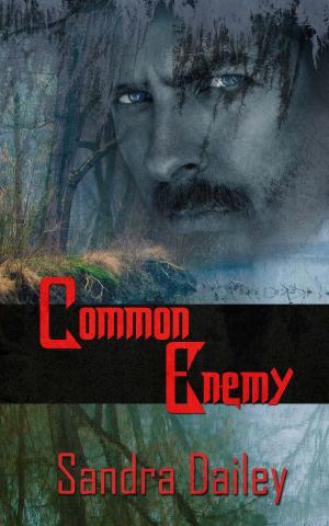 Cover of the book Common Enemy by Brenda  Huber